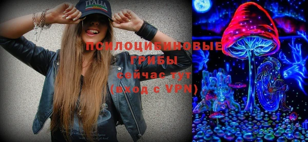 шишки Абдулино