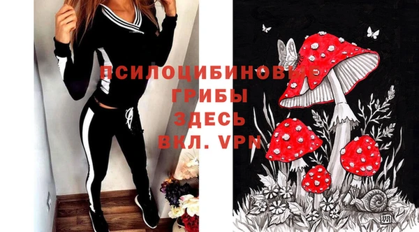 соль ск Абинск